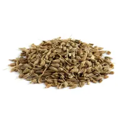 يانسون